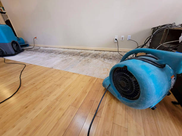 Professional Sewage Cleanup technician working in Manchester, IA